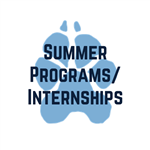 summer programs 